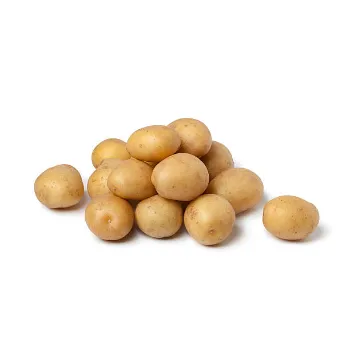 Organic Potato 
